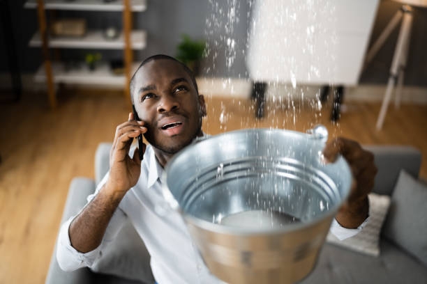 Best Flood restoration services  in Warrensburg, MO