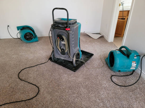 Best Local water damage restoration  in Warrensburg, MO