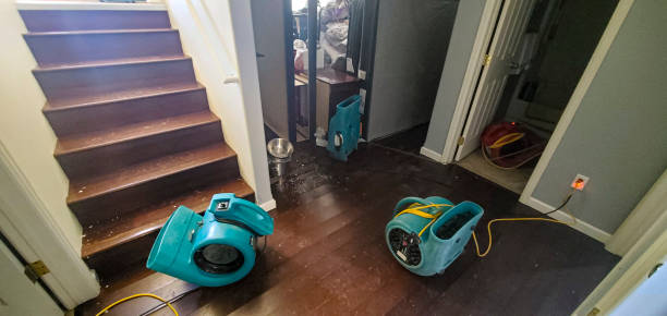 Best Emergency water damage restoration  in Warrensburg, MO