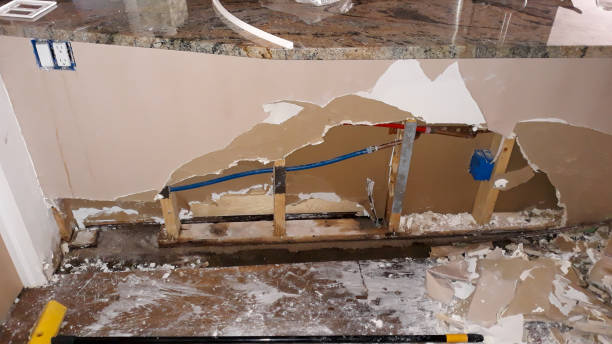 Best Water damage restoration mold remediation  in Warrensburg, MO