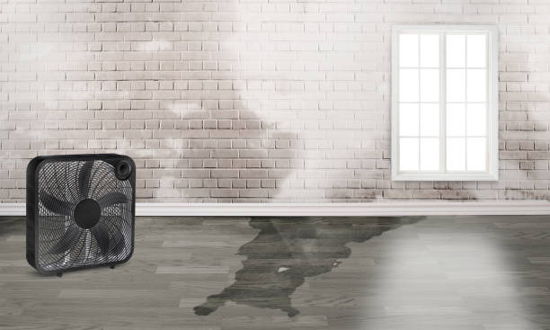 Fire Damage Restoration in Warrensburg, MO