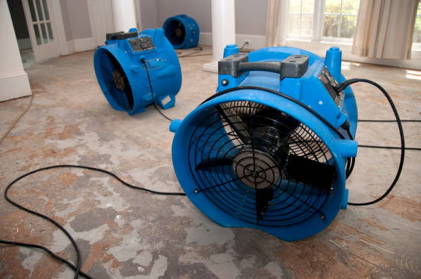 Best Mold removal after water damage  in Warrensburg, MO