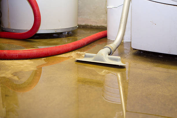 Best Professional water damage repair  in Warrensburg, MO