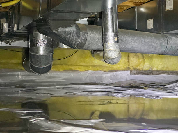 Best Water damage contractors near me  in Warrensburg, MO