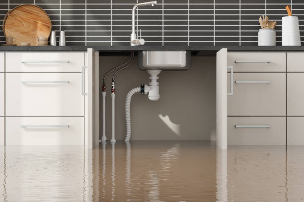 Best Sewage cleanup and water damage restoration  in Warrensburg, MO