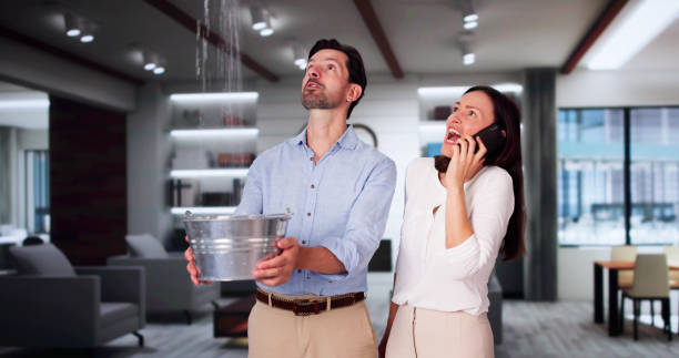 Best Flood damage cleanup  in Warrensburg, MO