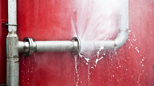 Best Water damage cleanup near me  in Warrensburg, MO